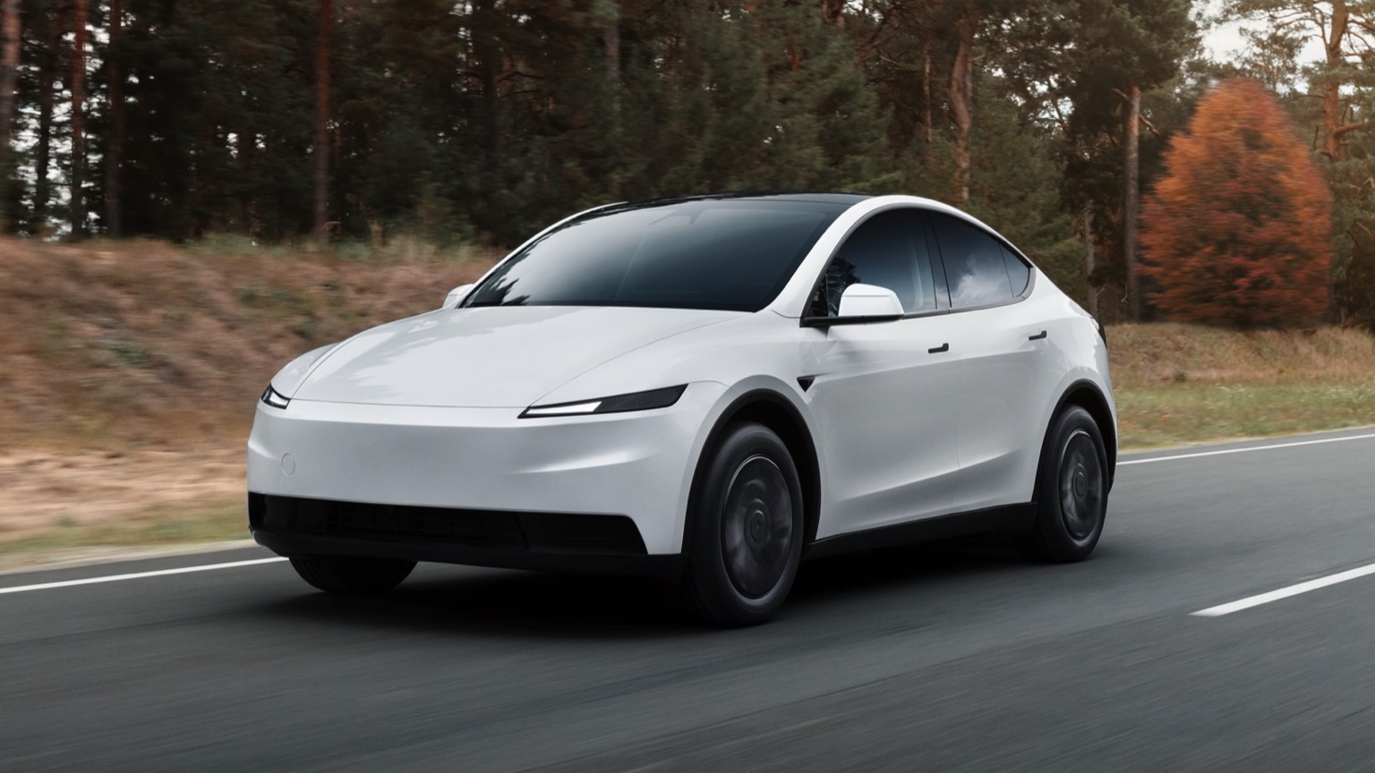 Tesla Model Y RWD (Juniper)